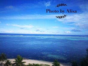 归来 政冶背景,政治风云下的归途探索