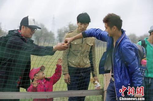 爸爸去哪儿的资料,温馨回忆与成长瞬间