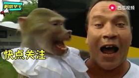 老外搞笑作死视频大全,老外搞笑作死瞬间大盘点