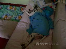 胖妞可爱图片,可爱瞬间定格